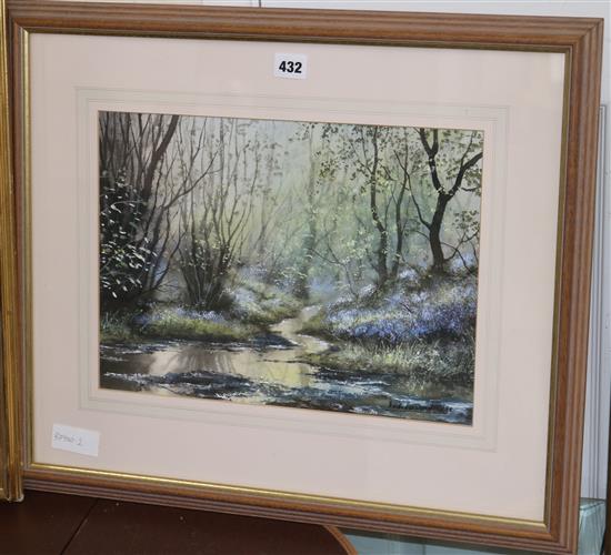 Andrew Dandridge, watercolour with bodycolour, Bluebells by the stream, 27 x 37.5cm